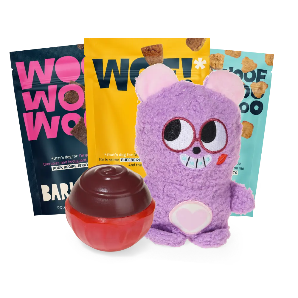 BARK 6 Month Subscription - FREE Extra Treats - Image 2