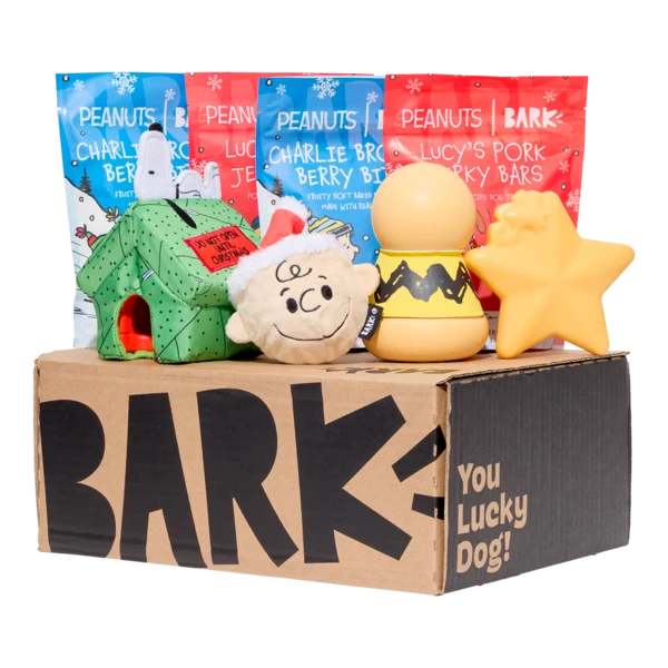 BARK 6 Month Subscription - Peanuts Double Deluxe First Box - Image 2