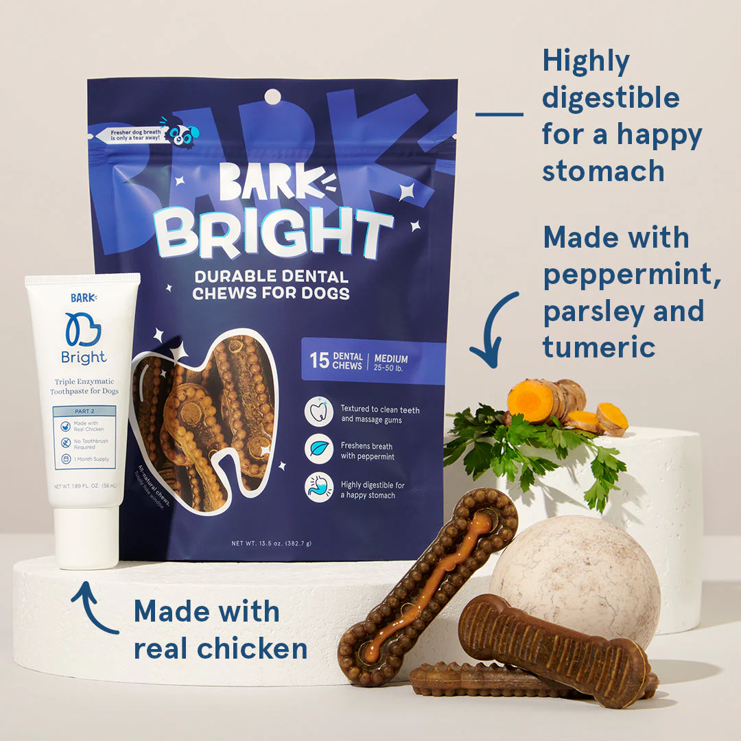 Bright Durable Dental Kit - Image 3