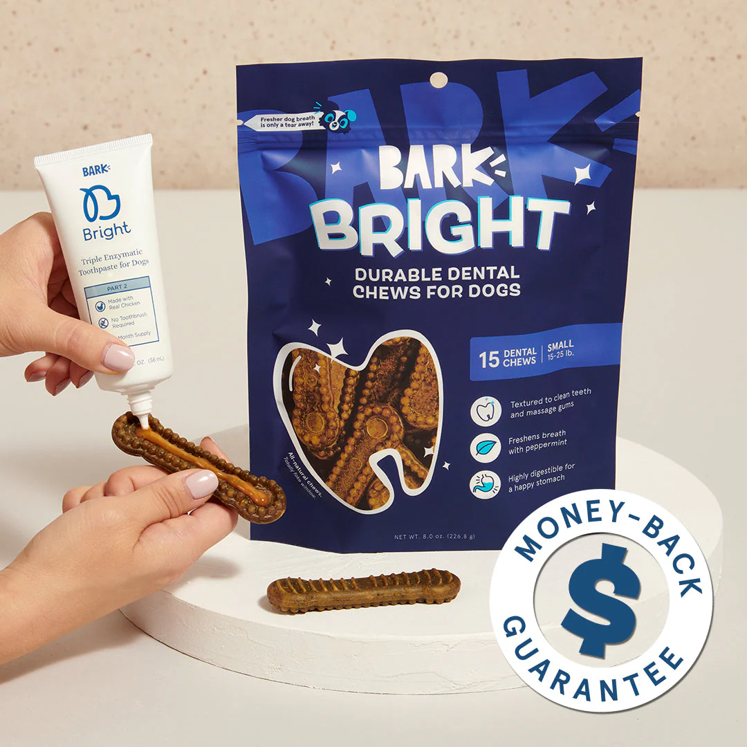 Bright Durable Dental Kit - Image 4