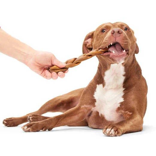 Braided Chewin' Collagen Dog Chew Beef Bully Stick - Image 3