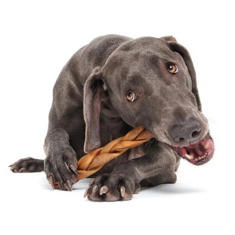 Braided Chewin' Collagen Dog Chew Beef Bully Stick - Image 4