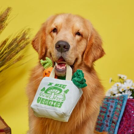 Dig These Veggies Plush Tug + Enrichment Dog Toy - Image 4