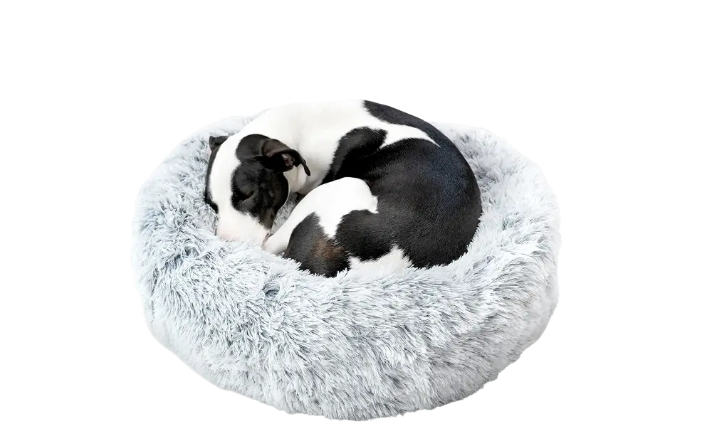 Dog Bed - Image 12