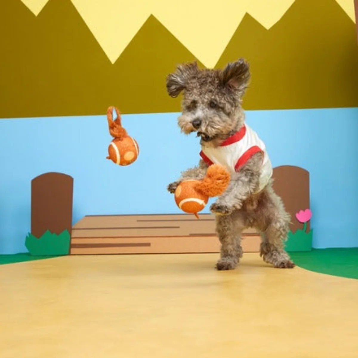 Double Trouble Squirrel Balls Fetch Dog Toy - Image 2