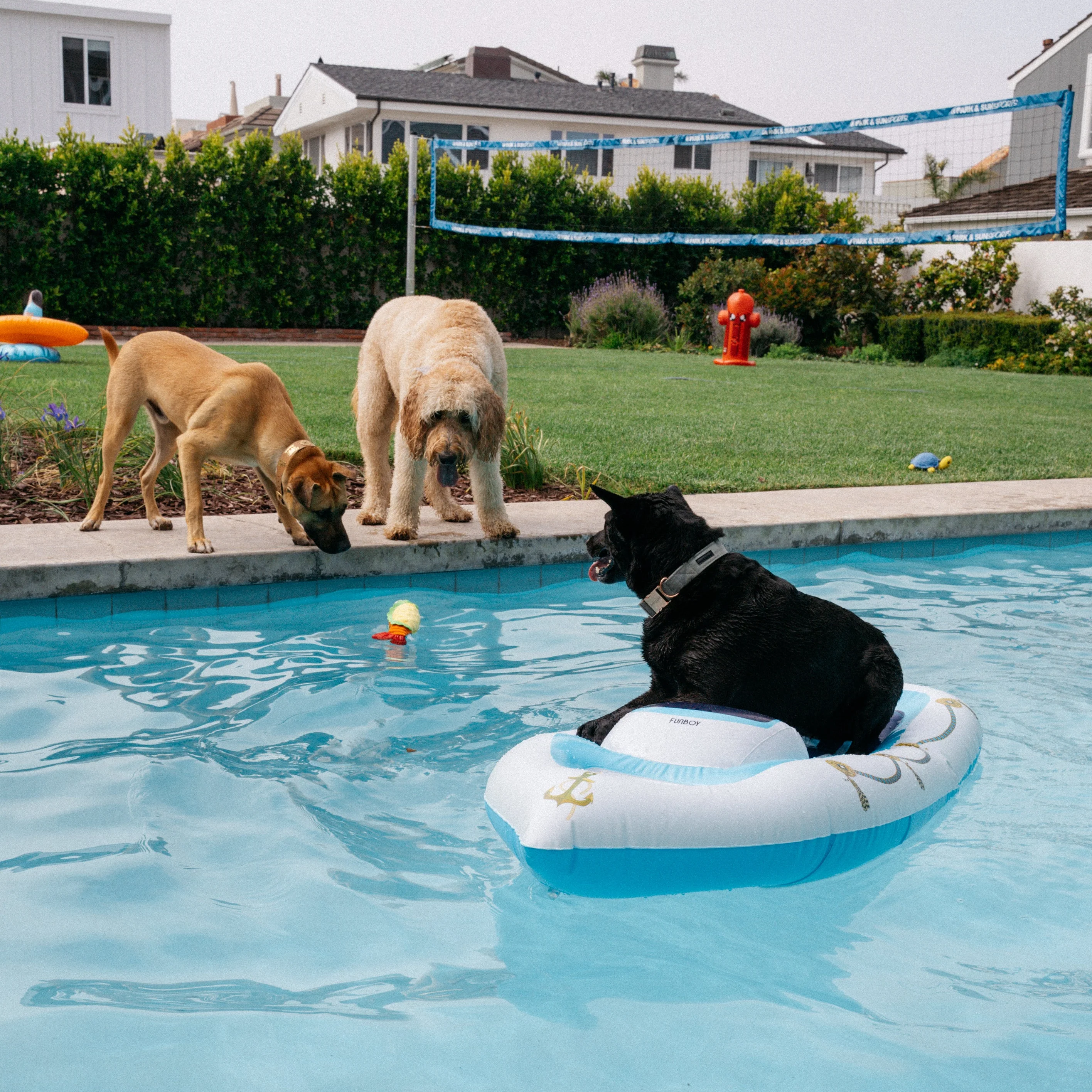 FUNBOY x Bark Yacht Pool Float - Image 4