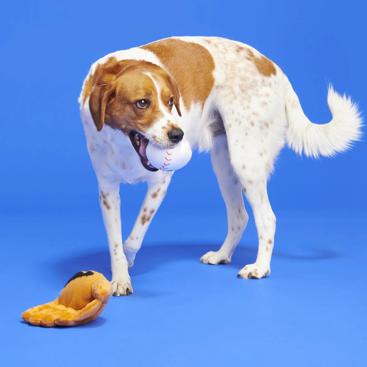 Growlings Baseball Glove Plush Multi-Part + Fetch Dog Toy - Image 5