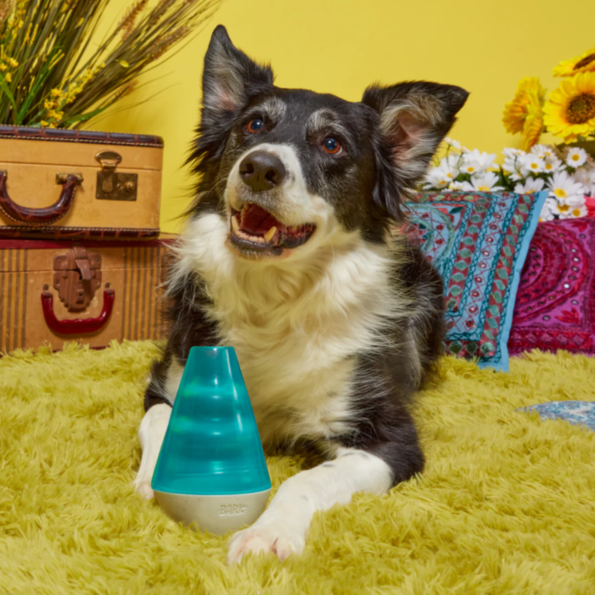 Lava Champ Durable Super Chewer Enrichment Dog Toy - Image 4