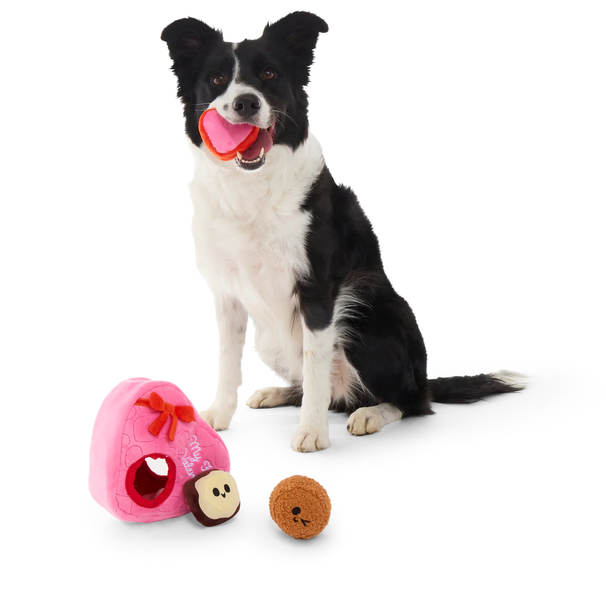 My Furry Valentine Chocolicks Plush Multi-Part + Enrichment Dog Toy - Image 6