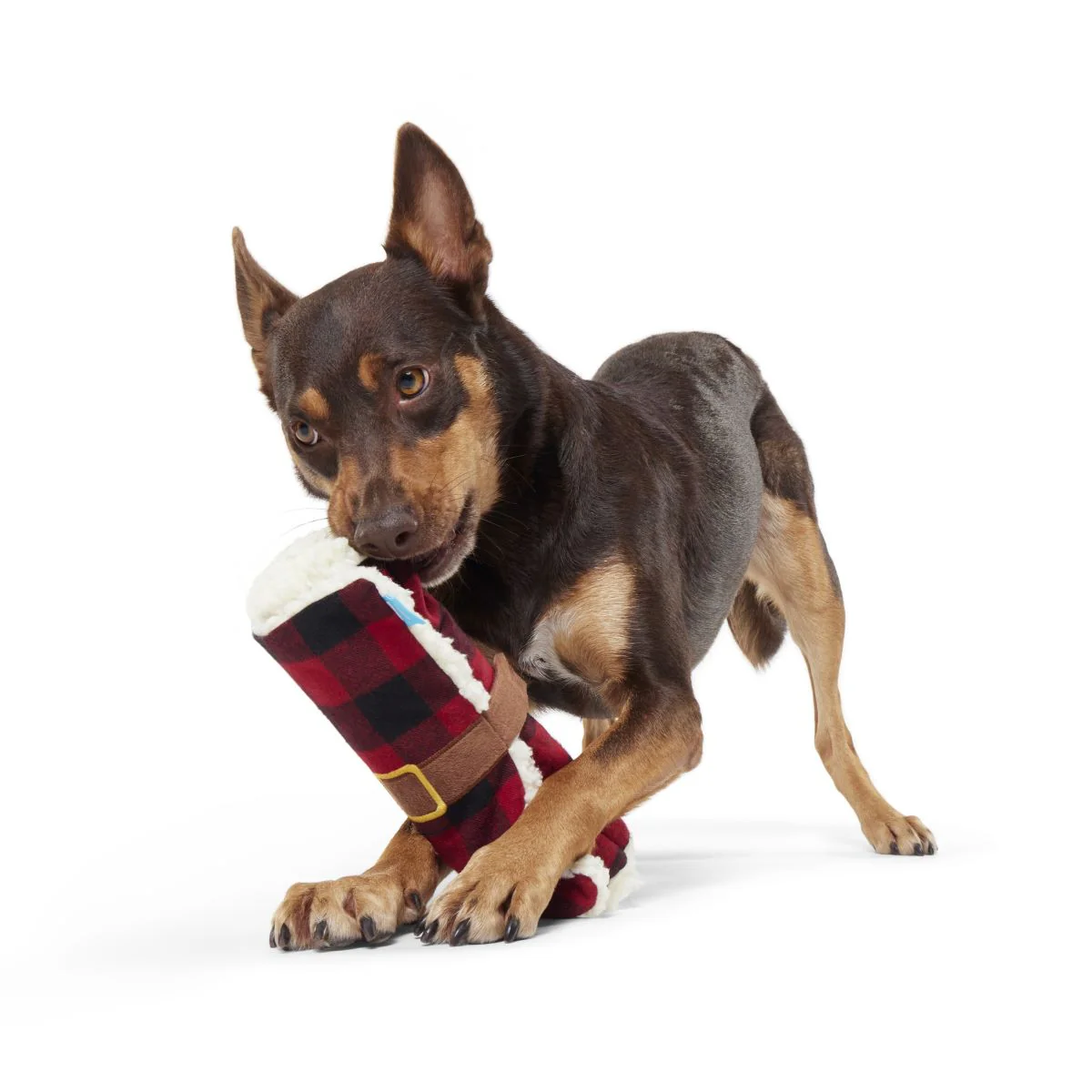 Plaid Party Plush Dog Toy & Treat Holiday Gift Box - Image 10