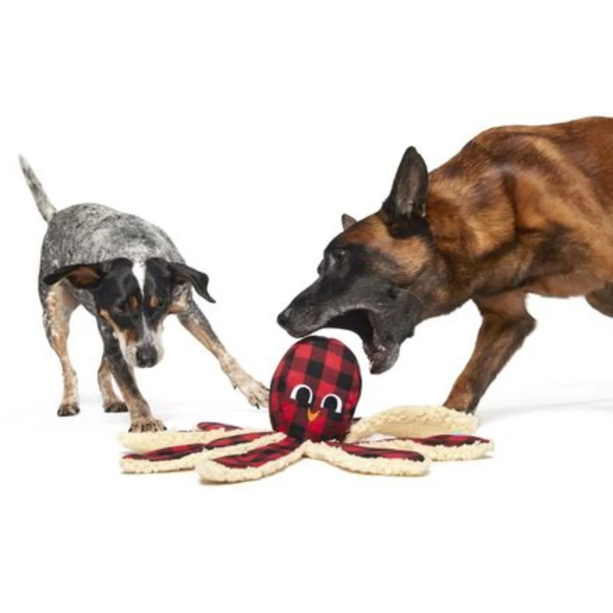 Plaid Party Plush Dog Toy & Treat Holiday Gift Box - Image 5