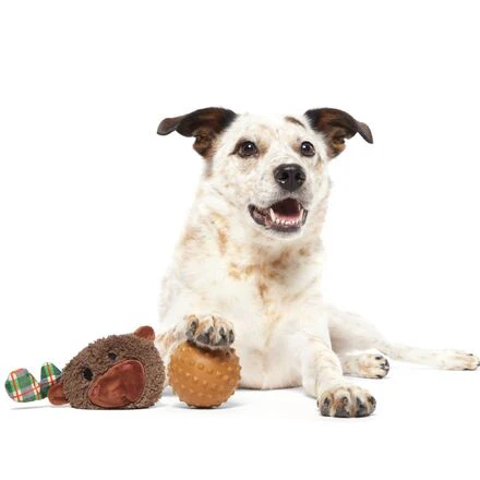Plaidamoose Durable Super Chewer 2-in-1 Rip and Reveal Dog Toy - Image 5