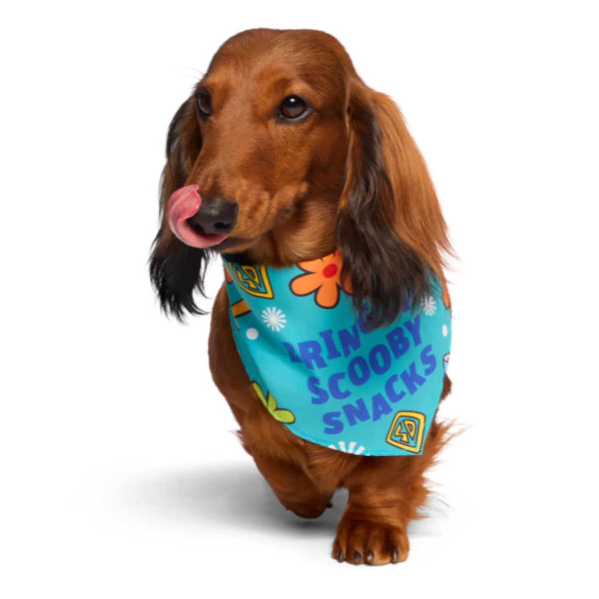 Scooby-Doo™ Bundle - Image 4