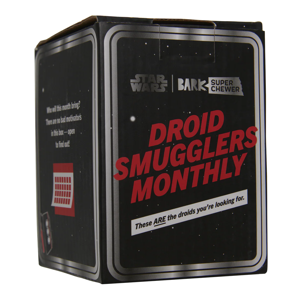 Star Wars™ Droid Smugglers Club, Super Chewer Durable Monthly Dog Toys - Image 5