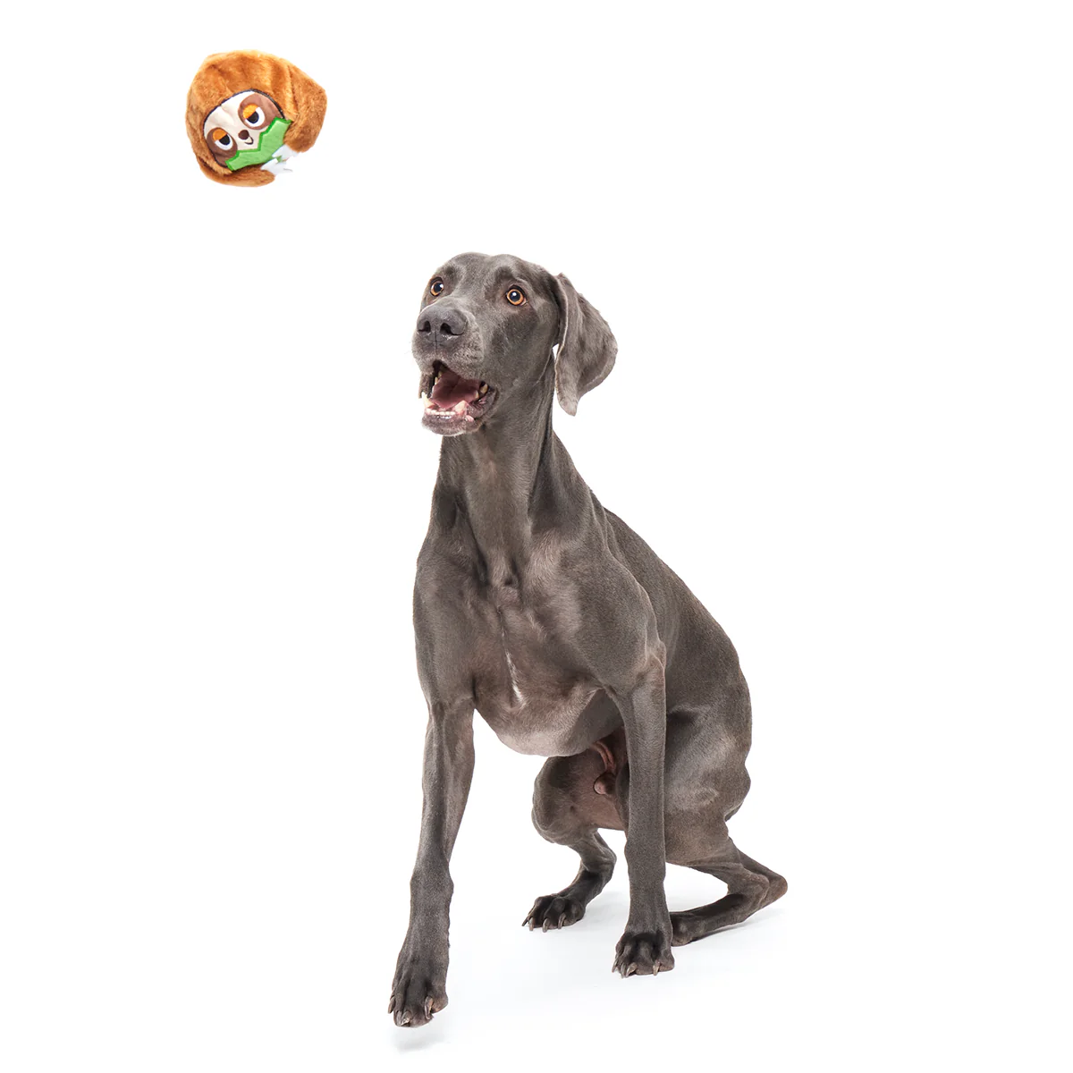 Sonny the Sloth Durable Super Chewer 2-in-1 Rip and Reveal + Fetch Dog Toy - Image 5