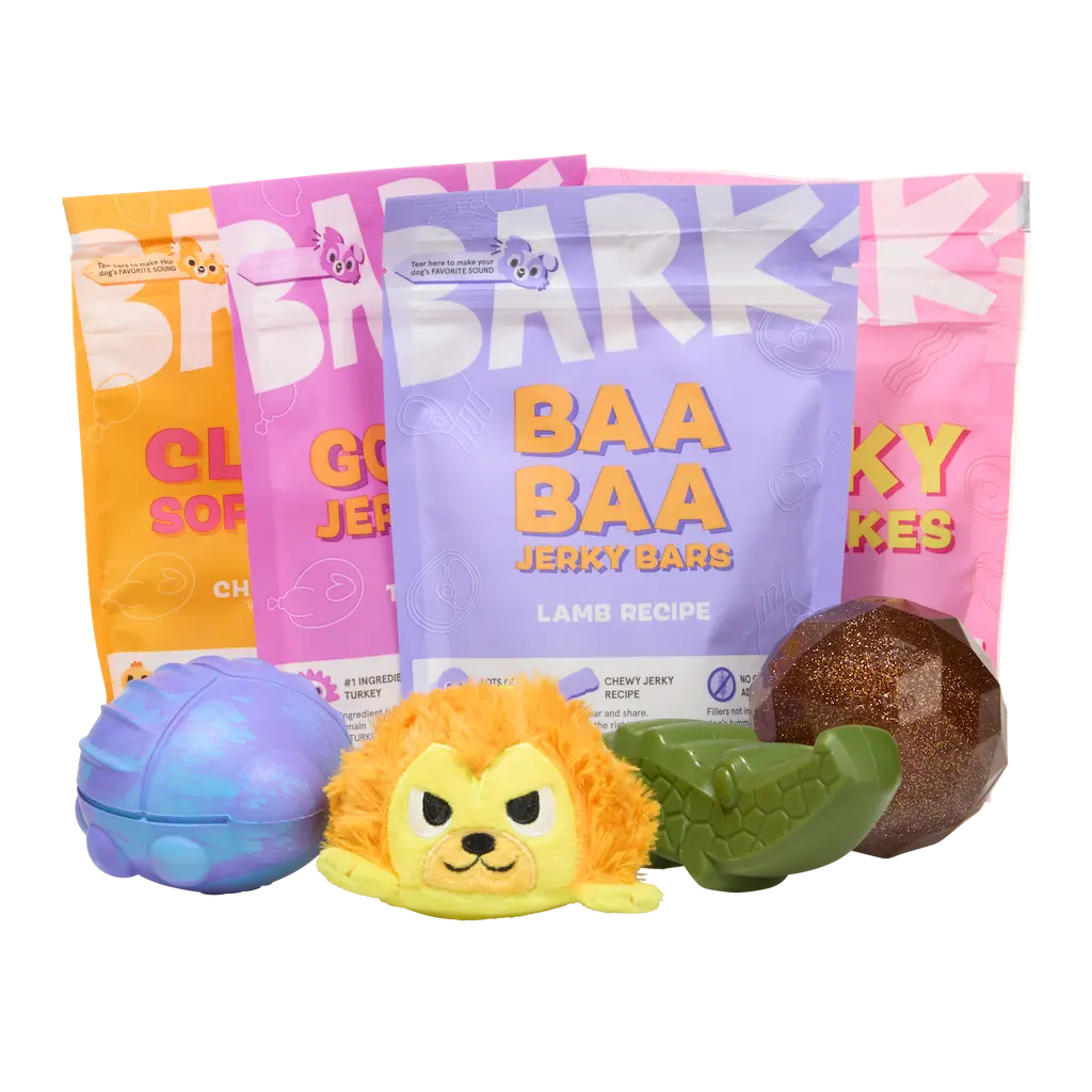 Super Chewer 6 Month Subscription - FREE Extra Toys - Image 2