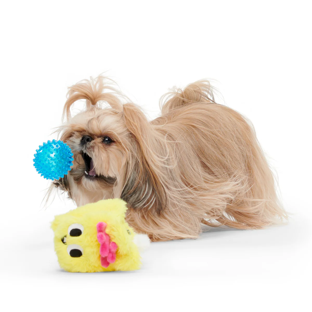 Super Chewer 3 Mo. Subscription - Image 3