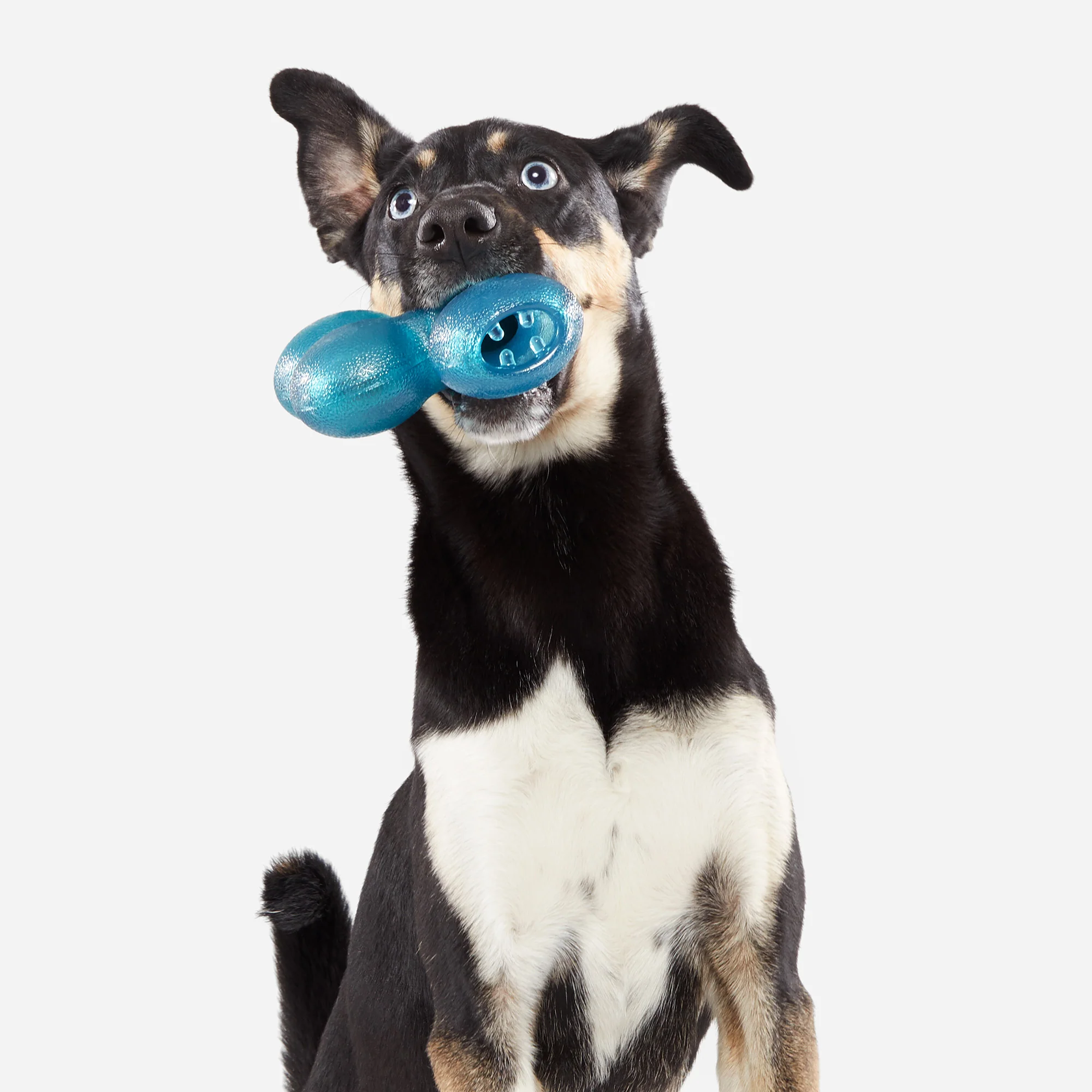 Treat Giver River Durable Super Chewer Enrichment Dog Toy - Image 7
