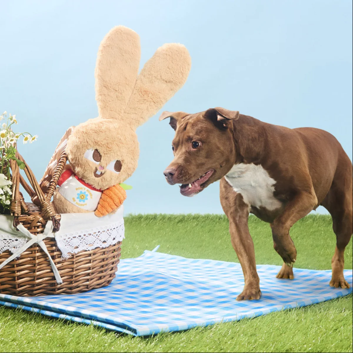 Veggie Reggie Plush Tug + Extra-Large Dog Toy - Image 5