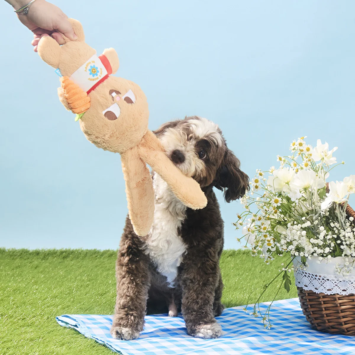 Veggie Reggie Plush Tug + Extra-Large Dog Toy - Image 6