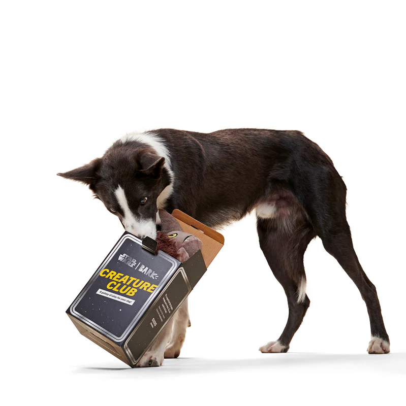 Wooly Bully Mudhorn™ - Image 7